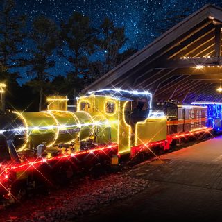 ⑤ロムニー鉄道