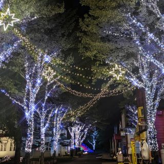 ⑥スターロード