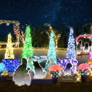 愛犬ステージ_20250827_人物あり